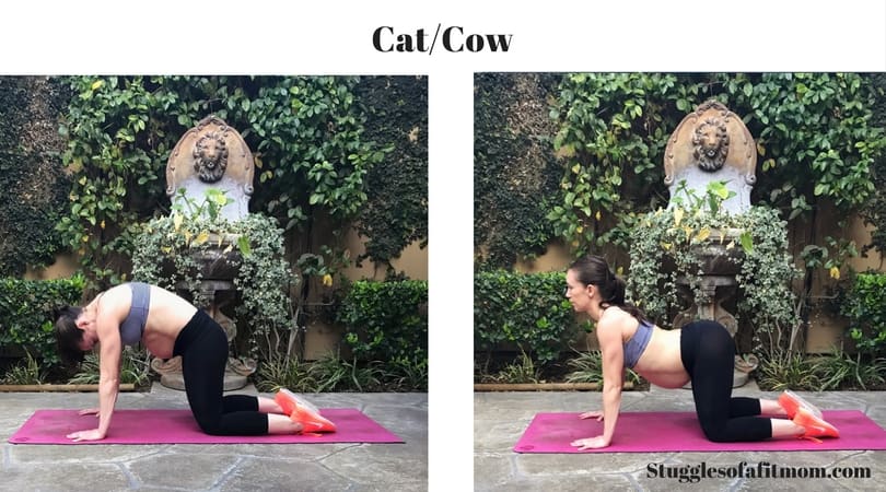 Pregnant mom doing a cat cow ab exercises outside on a pink yoga mat.