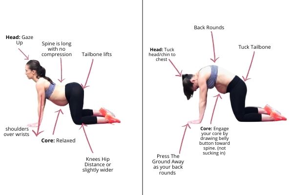 Upper and Lower Back Pain Relief Exercises  Lower back pain relief, Back  pain, Pregnancy back pain