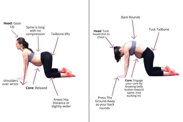 15 Prenatal Exercises For Instant Back Pain Relief 