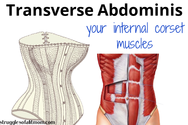 picture of a corset and transverse abdominis muscles to show your core is an internal corset