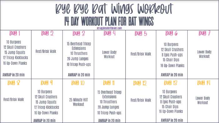 an image of a printable two week workout schedule to tone arms and get rid of bat wings