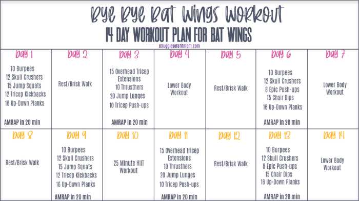 an image of a printable two week workout schedule to tone arms and get rid of bat wings